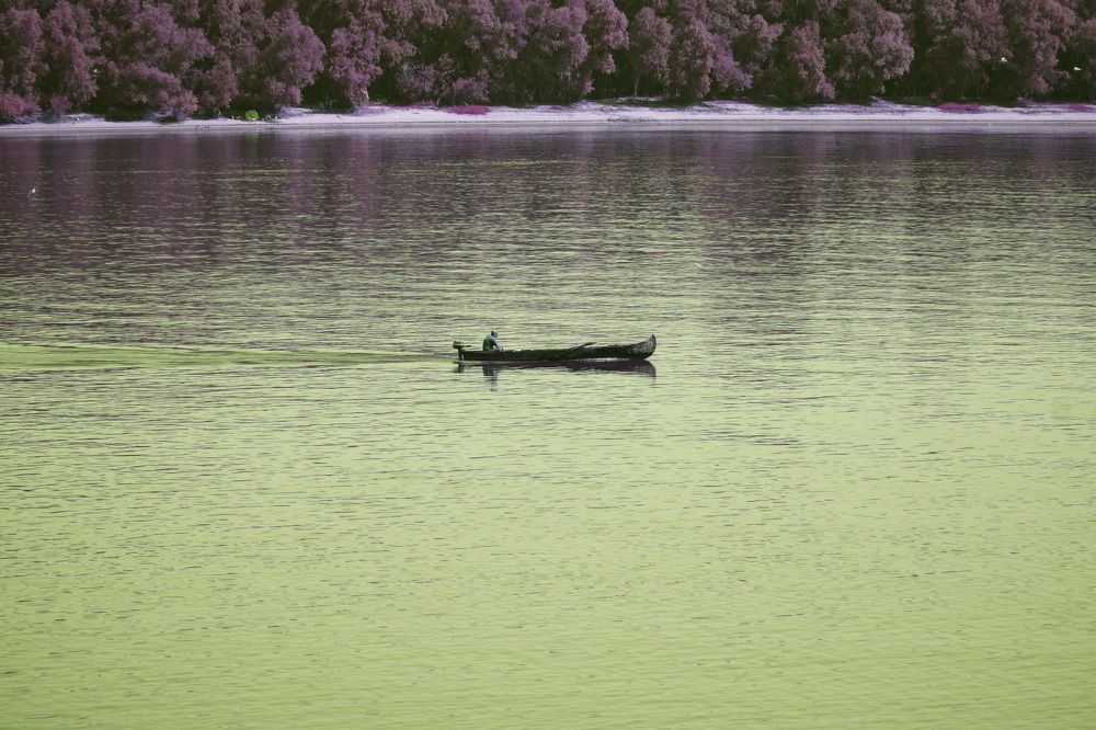 Photograph by Чавдар Георгиев