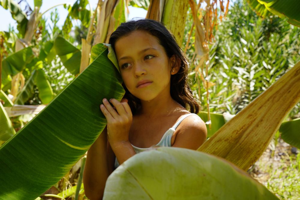 Photograph by Антон Ягунов