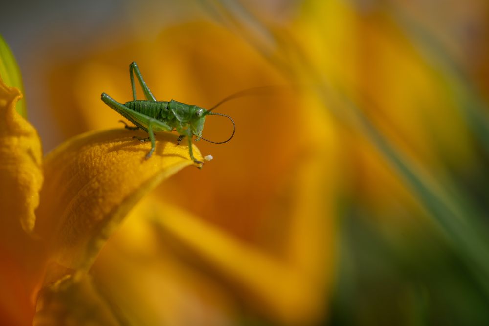Photograph by Николай Фонарёв