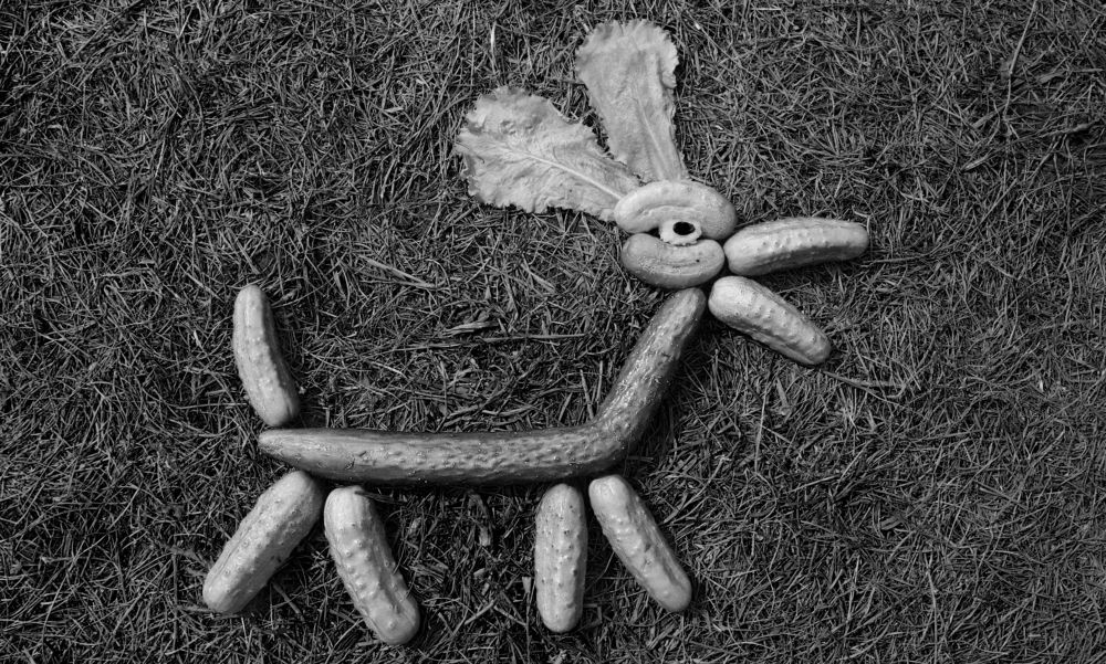 огуречная графика