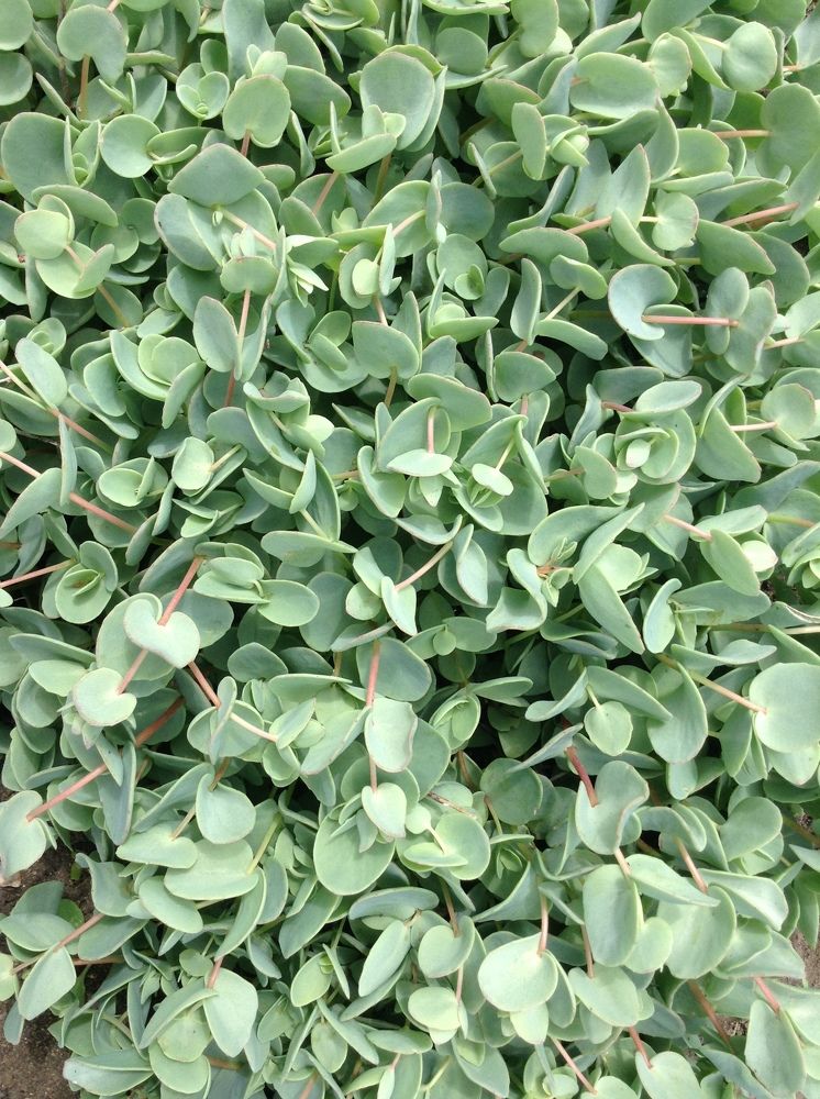 Photograph by Осипова Карина Александровна