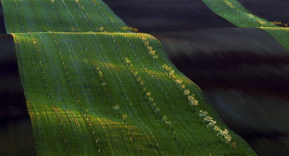 Photograph by Milan Uhrin