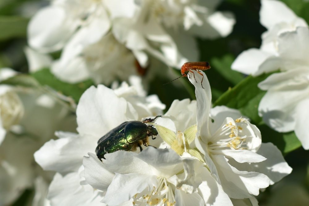 Photograph by Татьяна Юдина