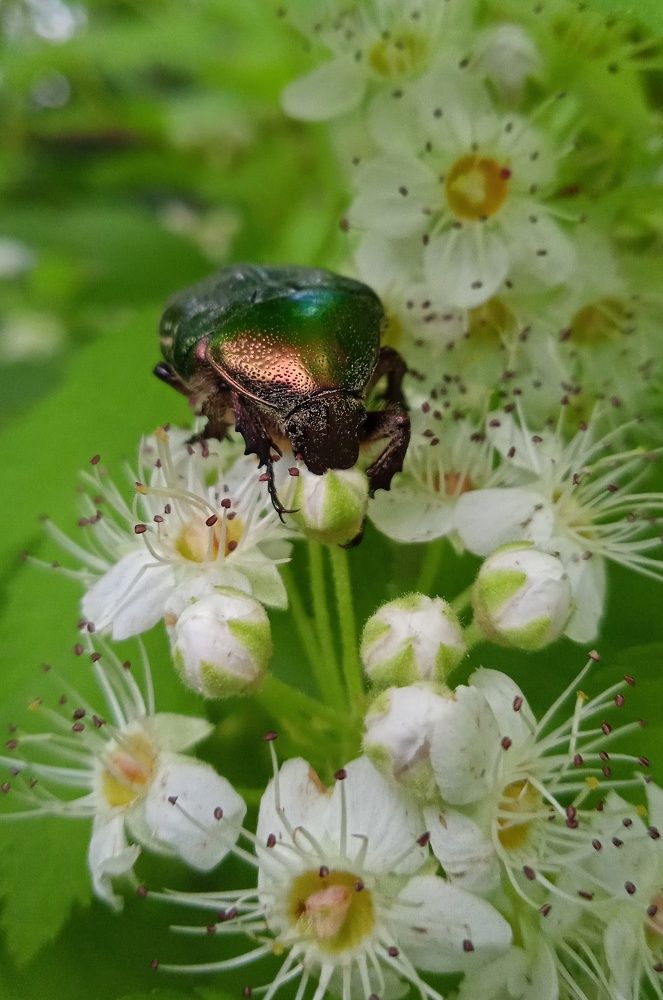 Photograph by Татьяна Юдина