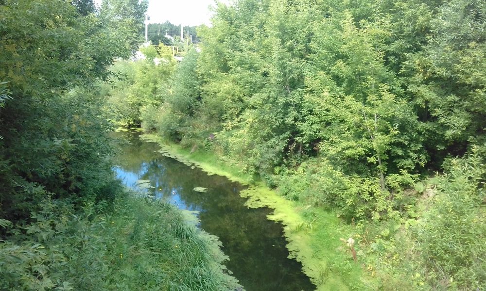 Photograph by Лида