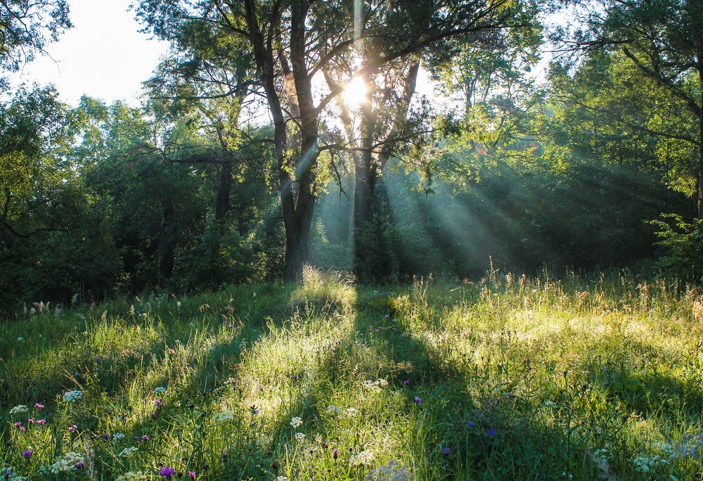 Photograph by Матвей Короткин