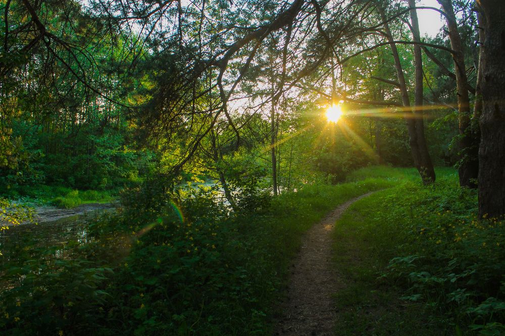 Photograph by Матвей Короткин