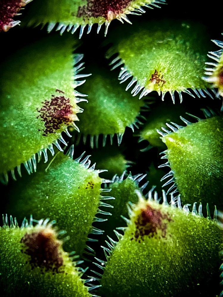 Фотография автора Рамзия Хисамутдинова