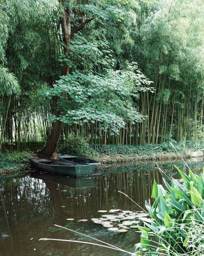 Photograph by Василий Селиванов