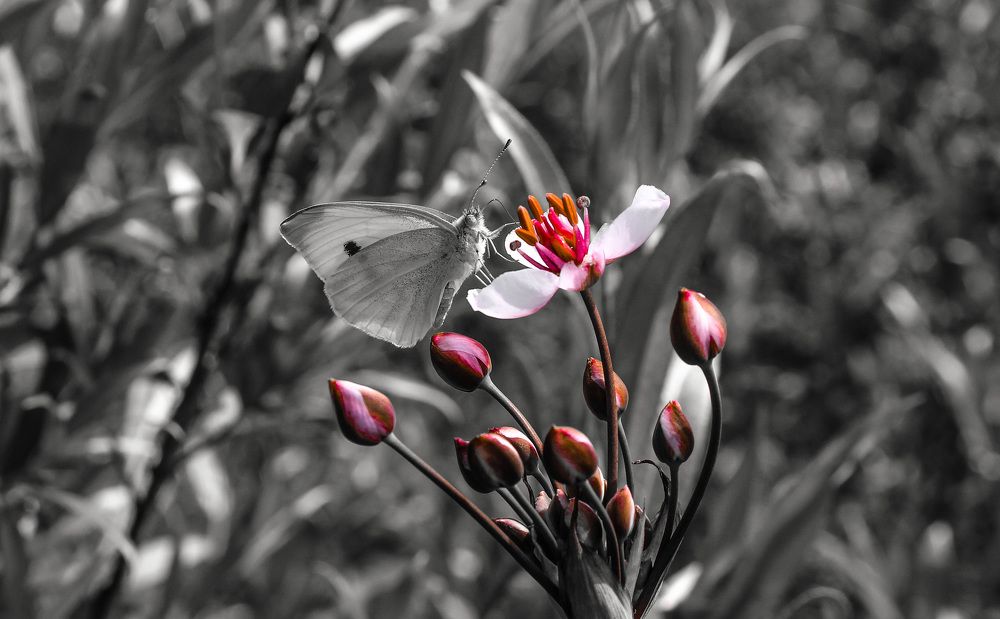 Photograph by Матвей Короткин