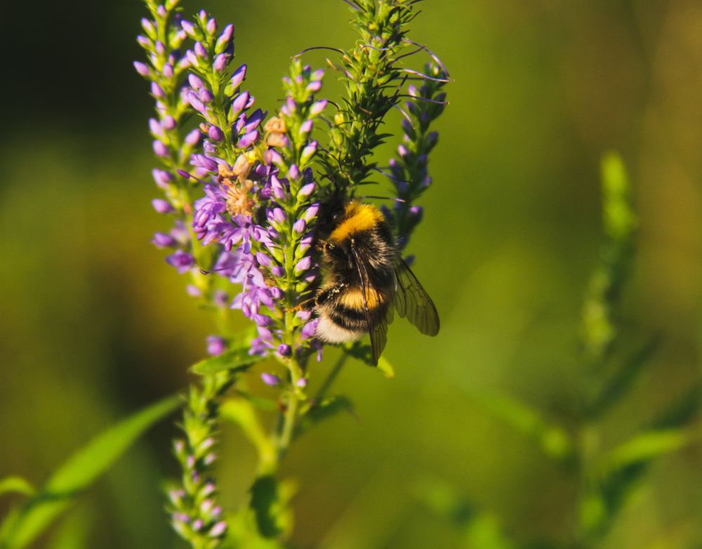 Photograph by Матвей Короткин
