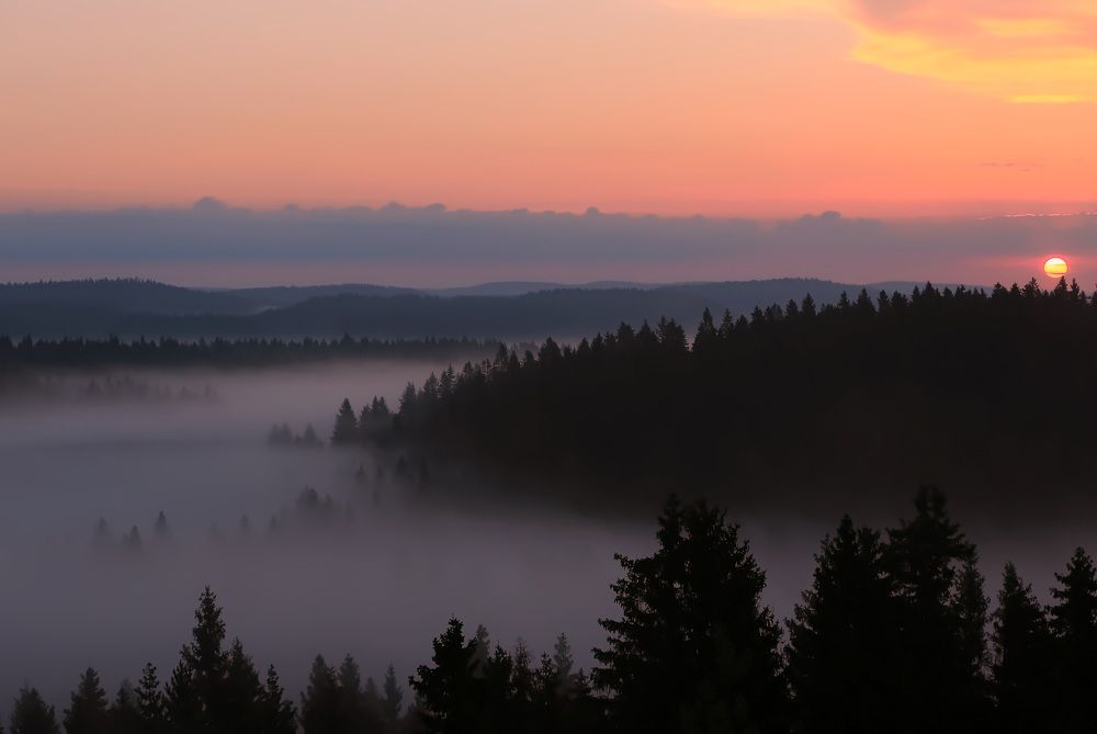 Photograph by Дмитрий Петухов