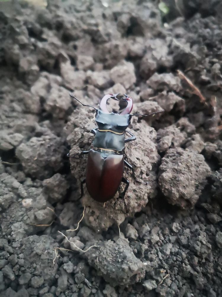 Photograph by Nikolett Mengyi