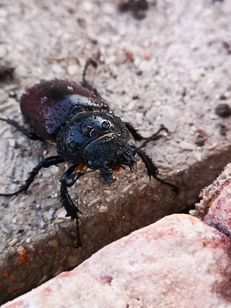 Photograph by Nikolett Mengyi