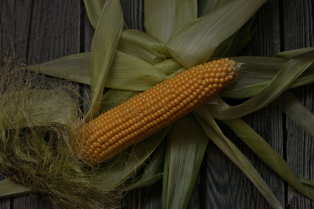 Photograph by Анжелика Медведева