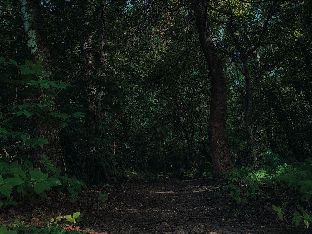 Photograph by Юлия Чиклеева