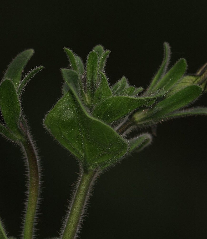 Photograph by Елена Федорова