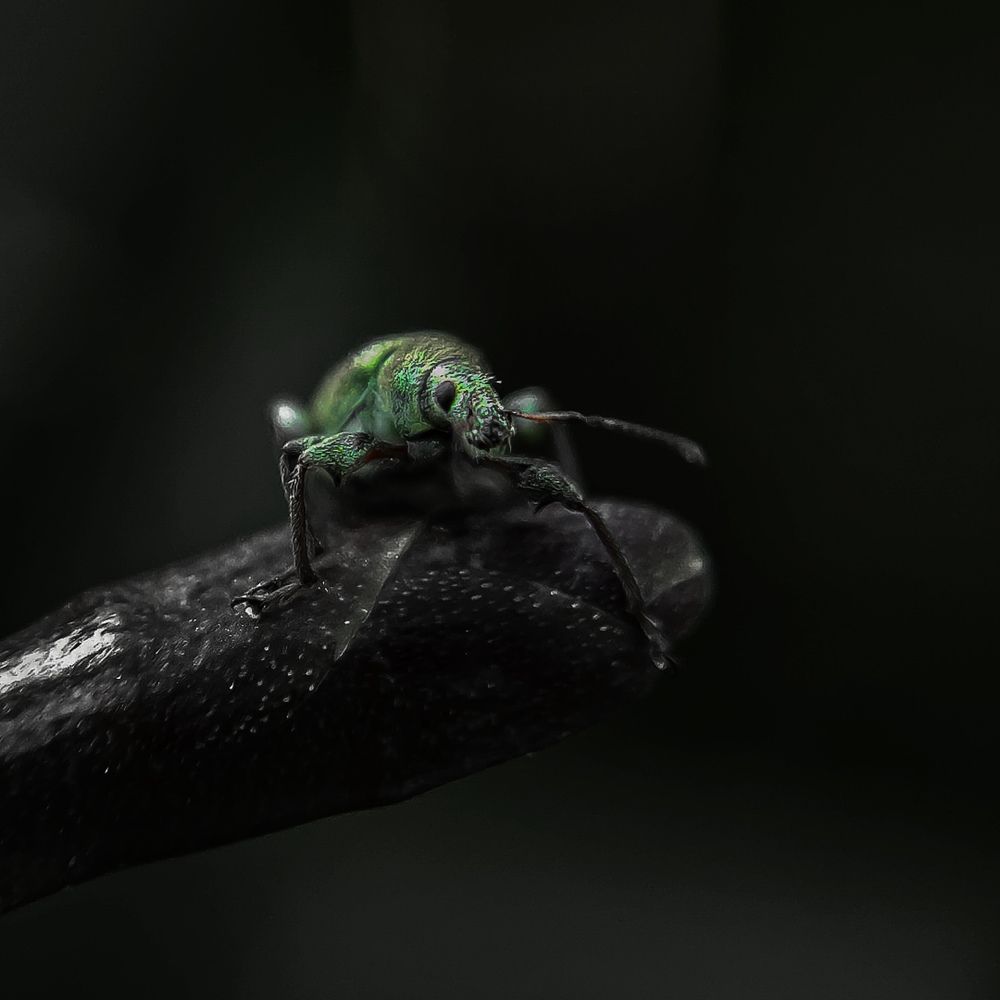 Фотография автора Марина Алексеевская