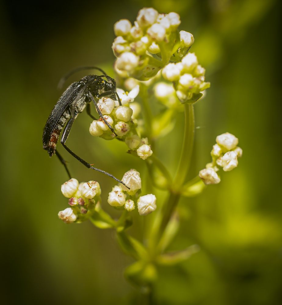 Photograph by Juris Bumanis