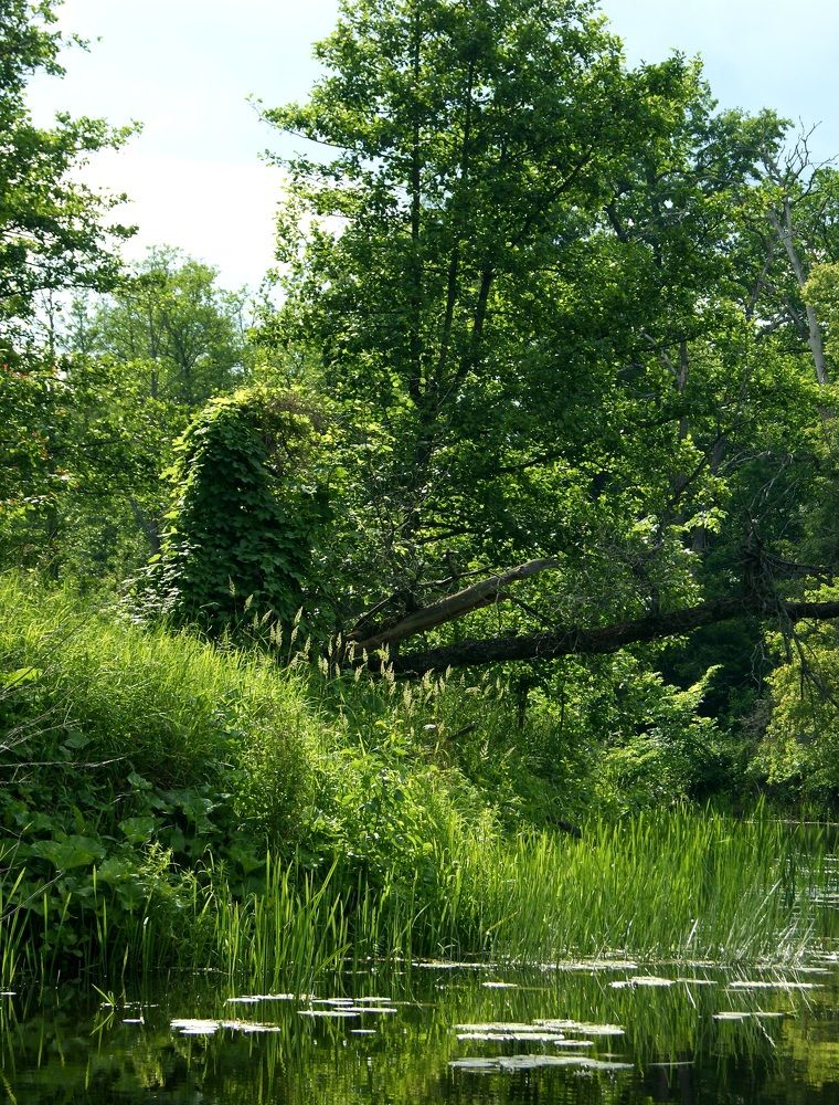 Photograph by Андрей Хитрун