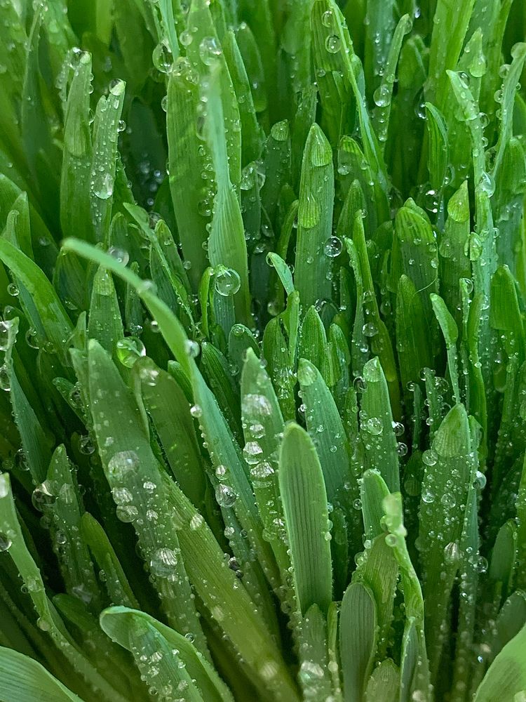 Photograph by Елена Макуха