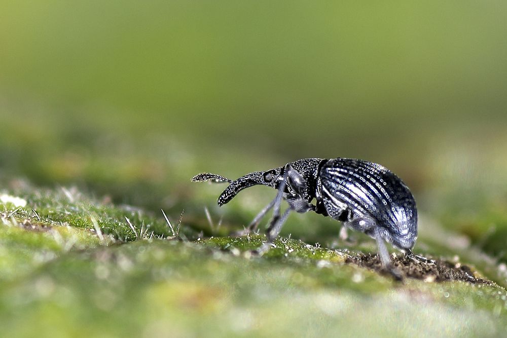 Photograph by Виктор Степанов