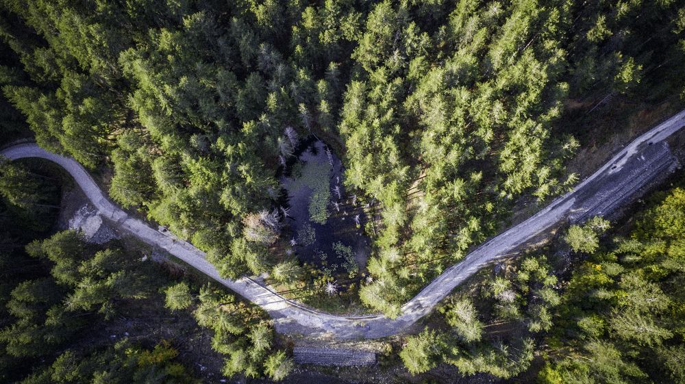 Photograph by George Manis