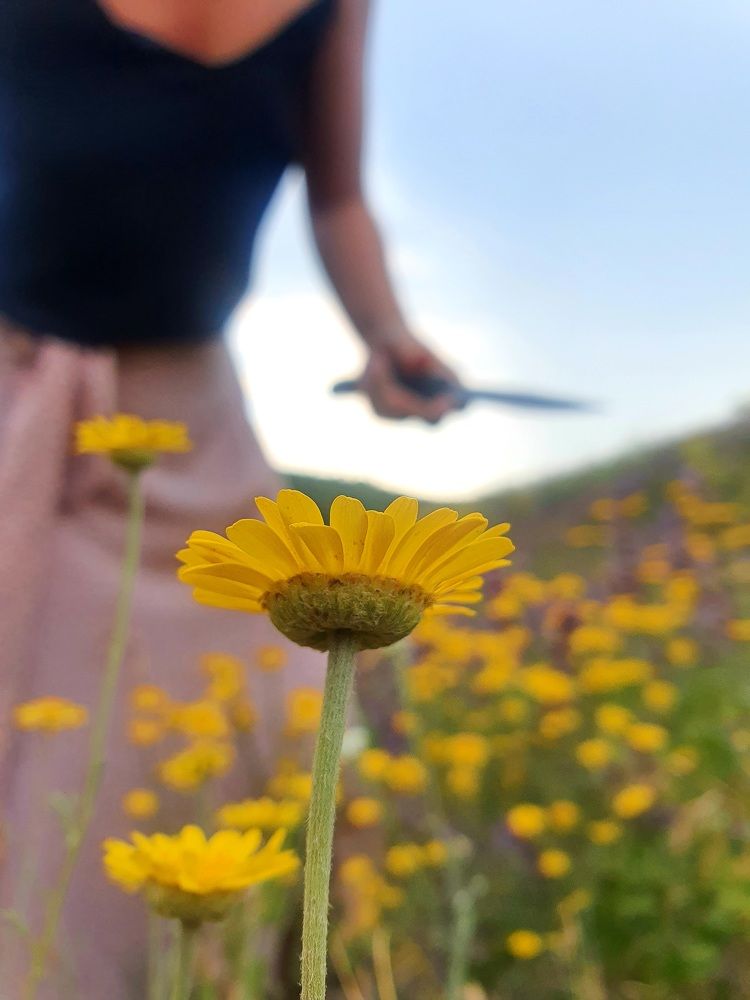 Photograph by Андрей Хитрун