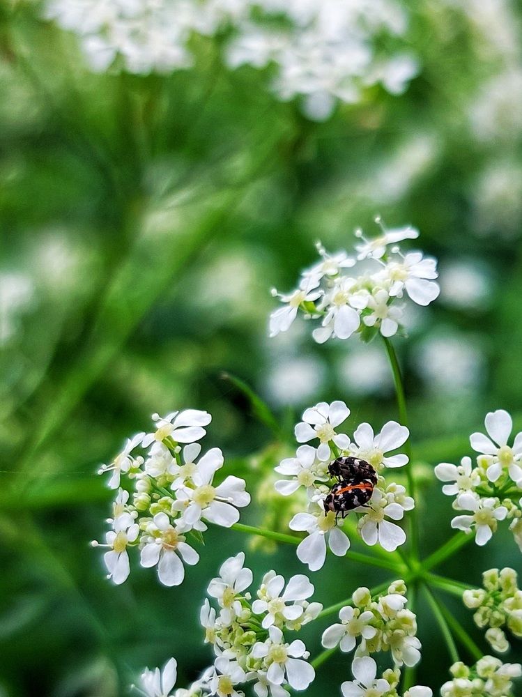 Photograph by Ирина Лучинская