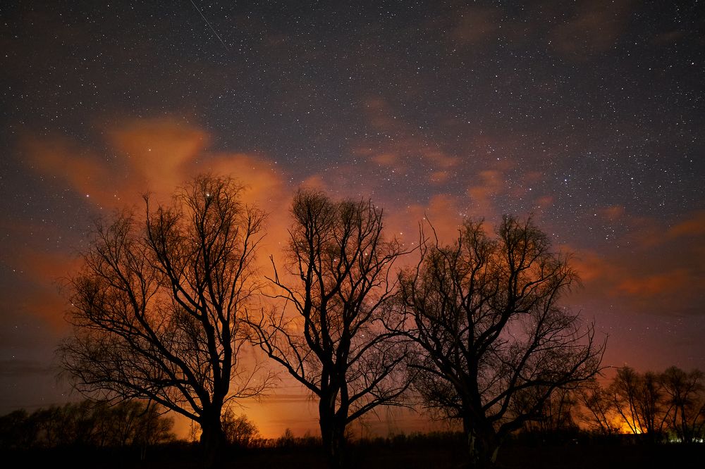 Фотография автора Игорь Игоревич