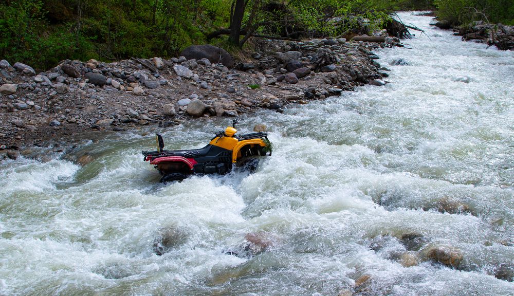 Photograph by Владимир Жигулин