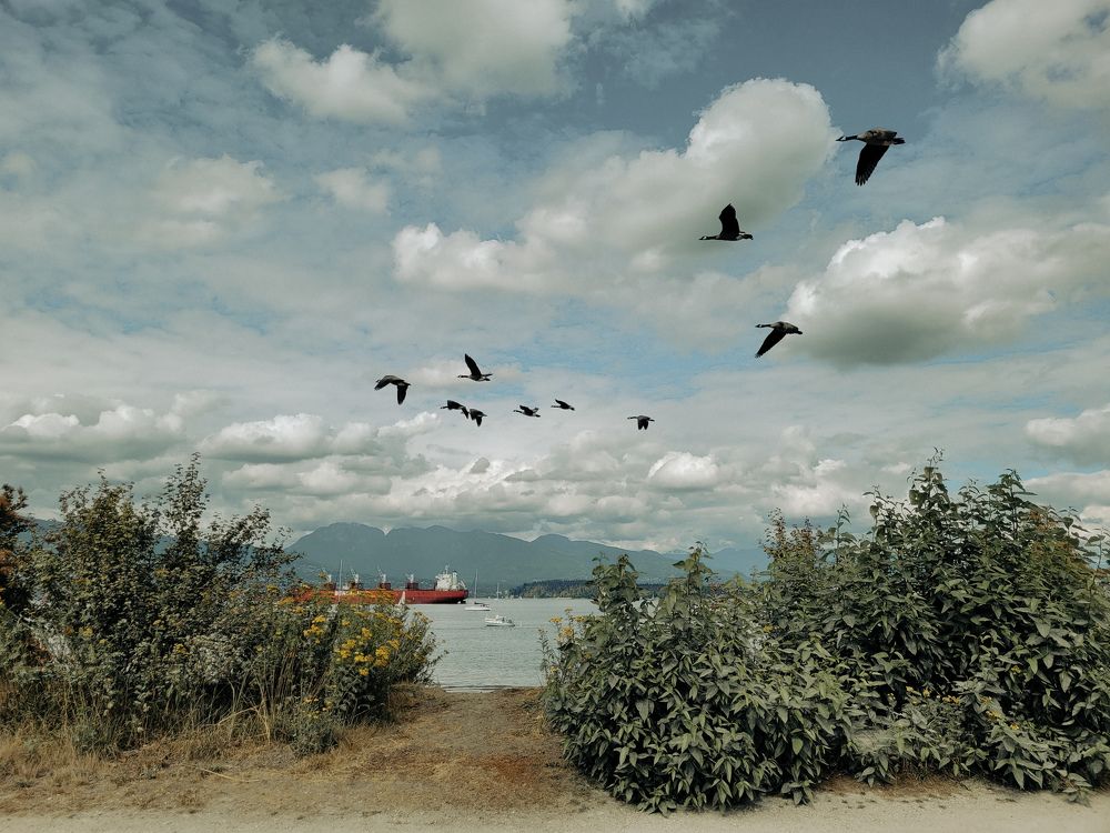 Photograph by Yana Bobrova