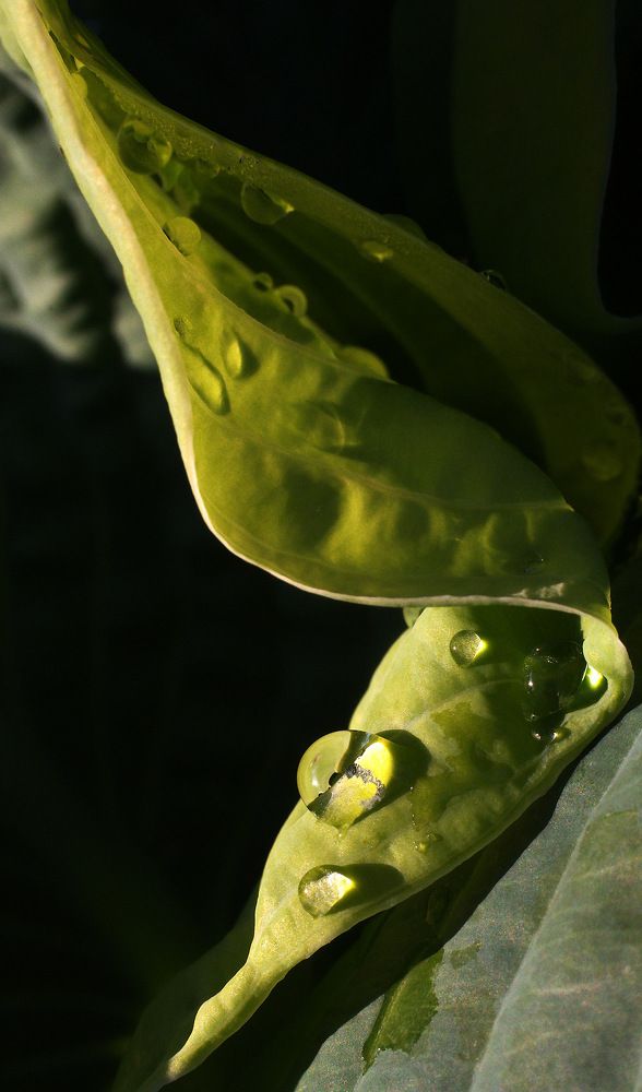 Photograph by Дмитрий Ткаченко