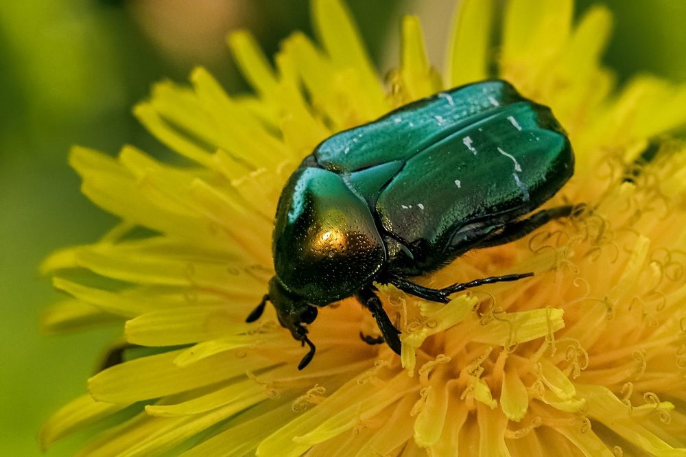 Photograph by Сергей Кравченко
