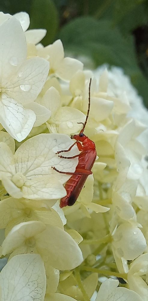 Photograph by Евгений Савулькин