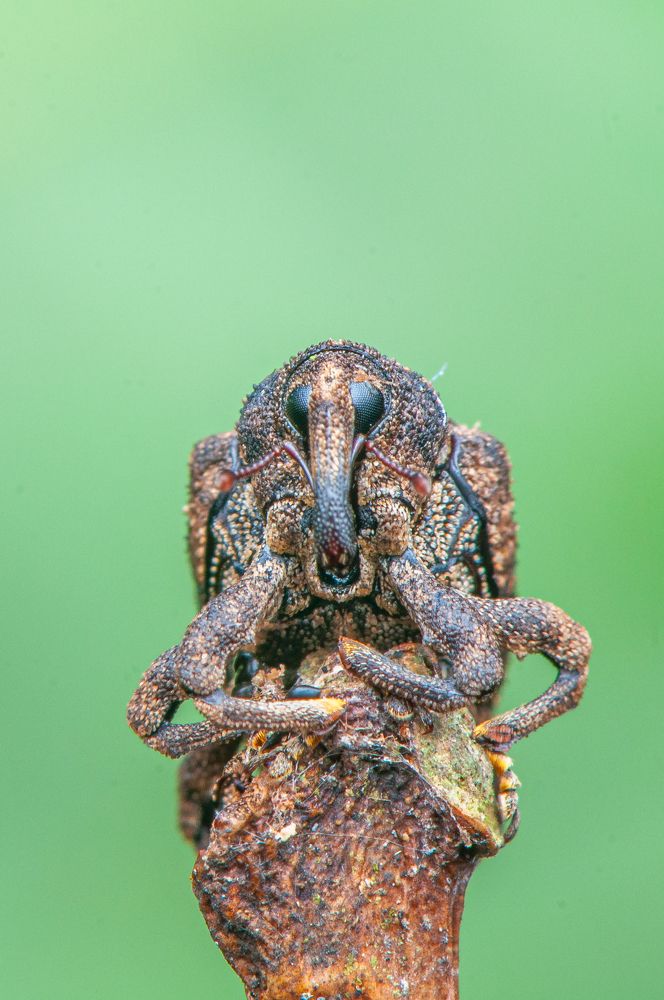 Photograph by Chamara Sulakkhana Polwatta Siriyalage