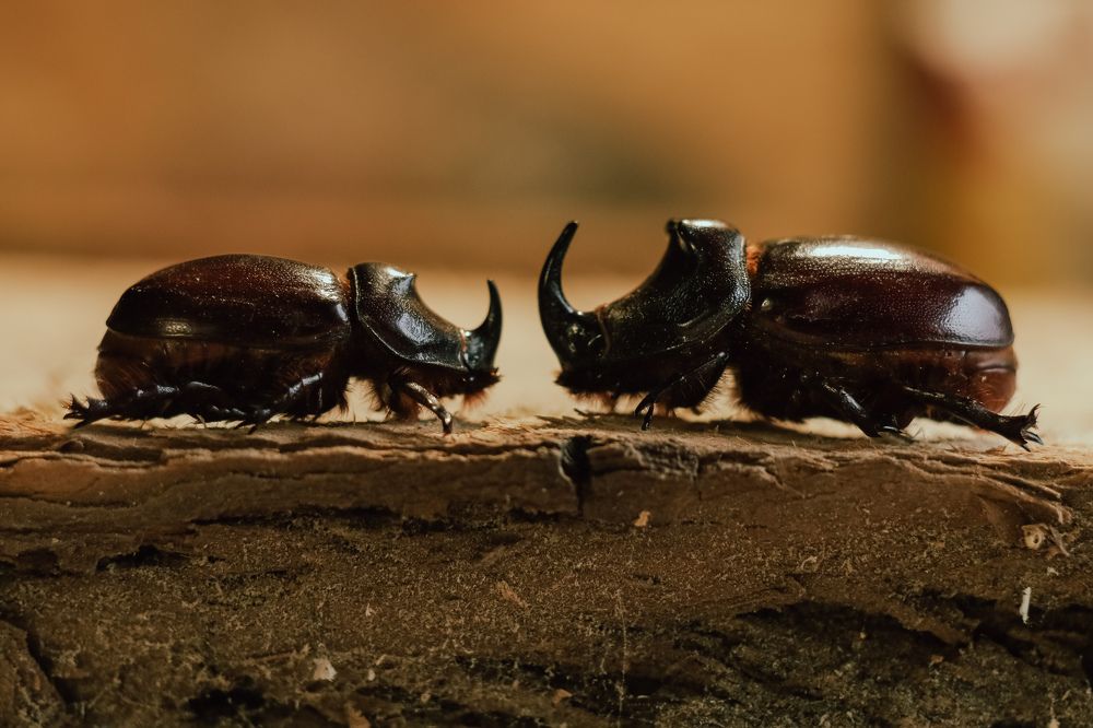 Photograph by Сергей Кравченко