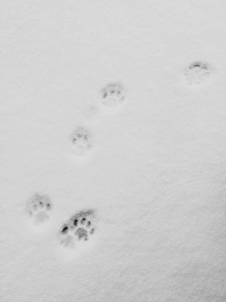 Photograph by Александр Максимов