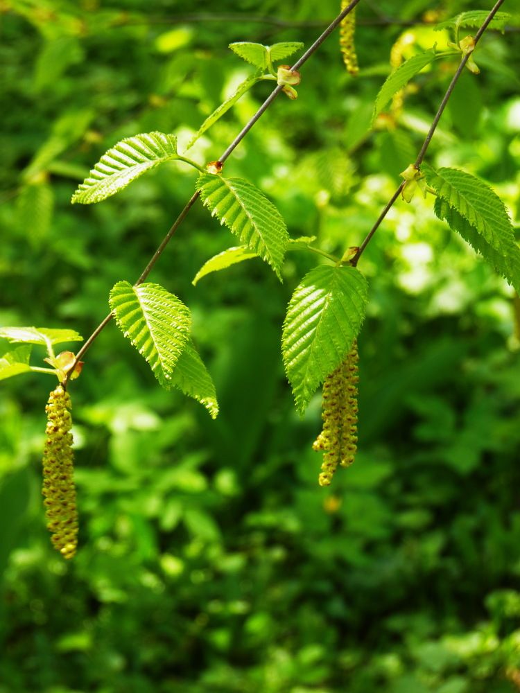 Photograph by Galina Leskova