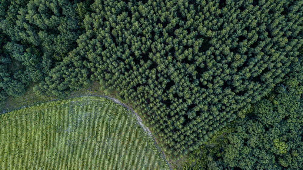 Photograph by Oleg Kipkaev