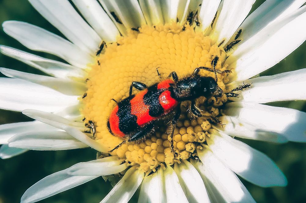 Photograph by Александр Катюрин