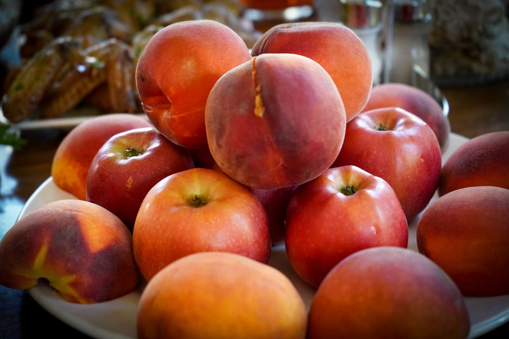 Photograph by Эльза Чанба