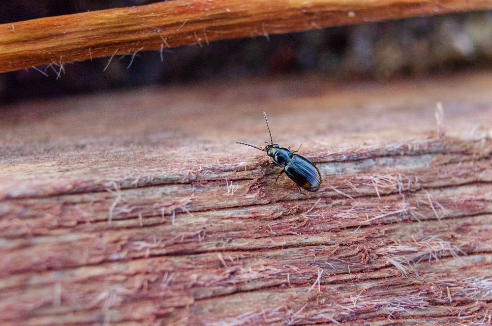 Photograph by Денис Кичев