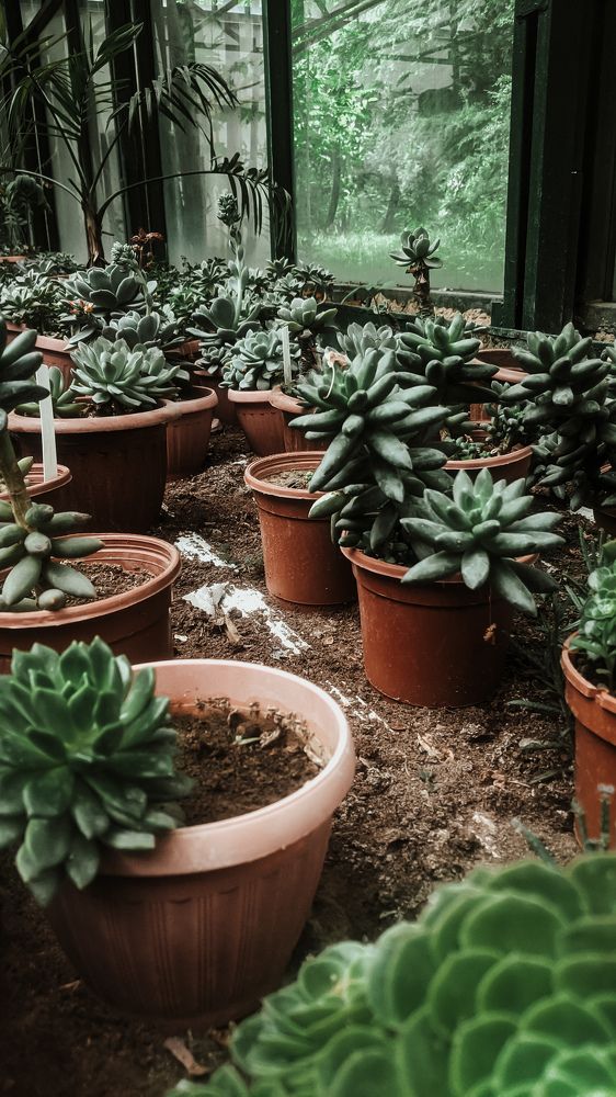 Photograph by Диана Галиуллина