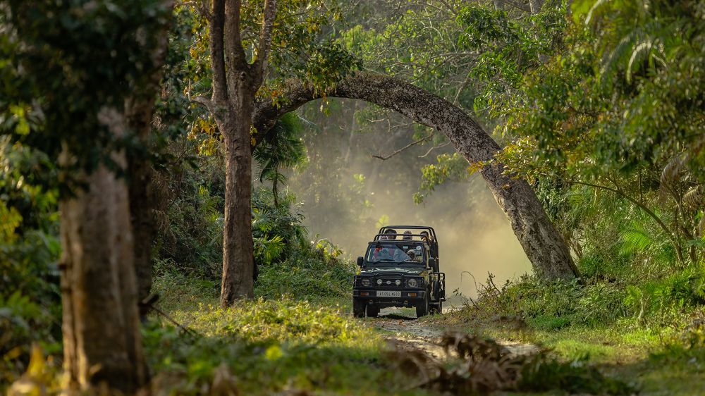 Photograph by Rajeeb Bharali