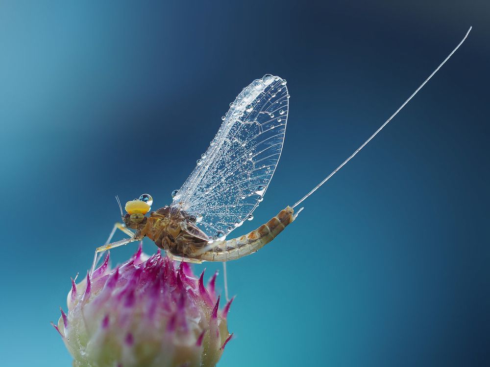 Photograph by Лукашук Евгений