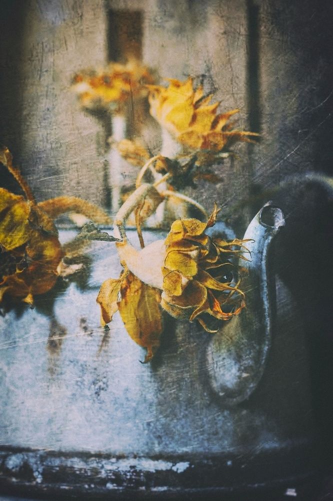 Photograph by Ольга Мальцева