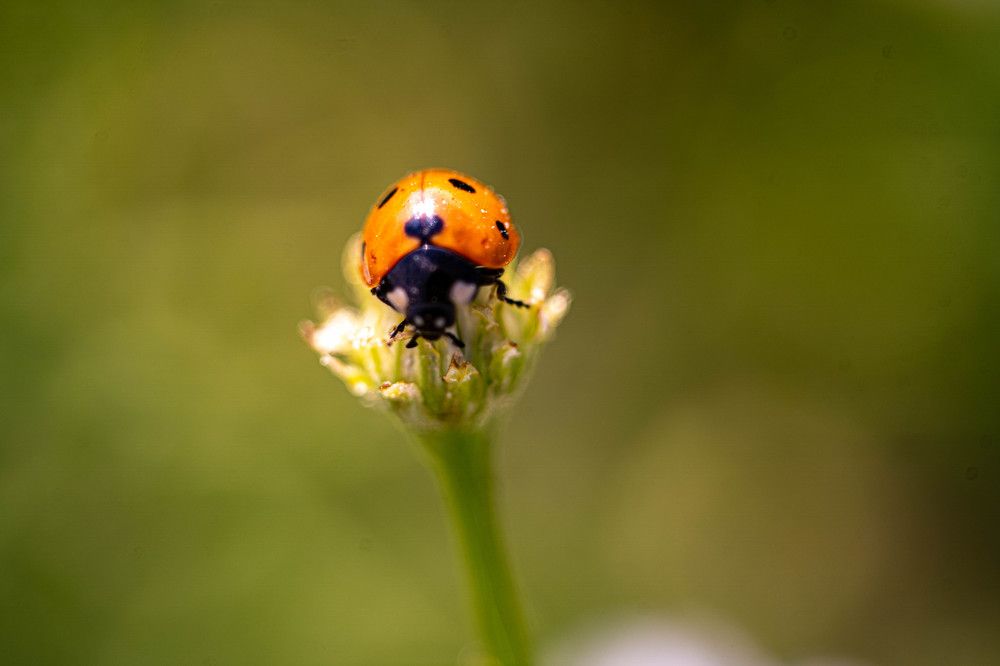 Photograph by Андрей Шишлов