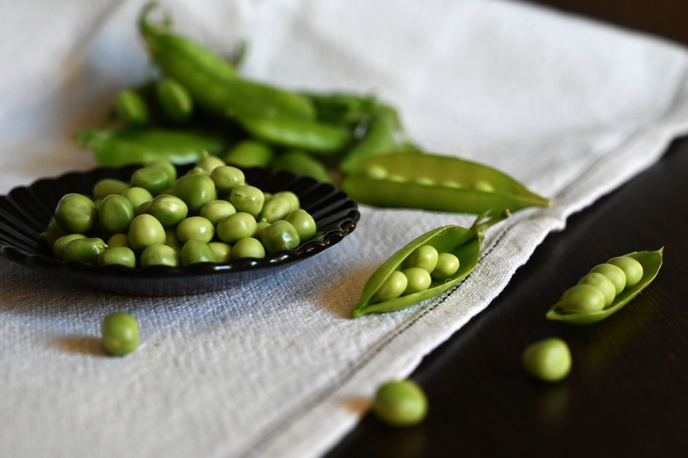 Photograph by Светлана Вербицкая