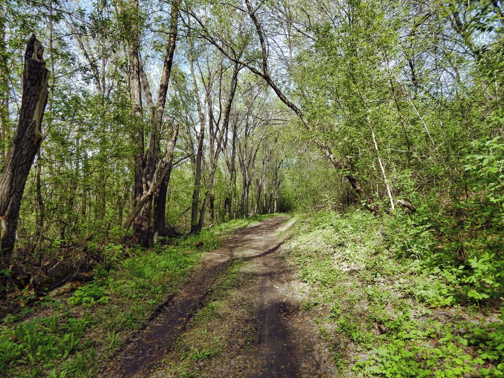 Фотография автора Валерий Цуркан